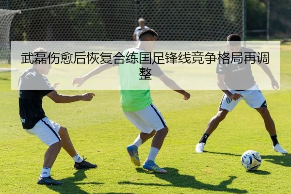 武磊伤愈后恢复合练国足锋线竞争格局再调整